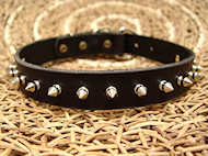 Bulldog Leather Spiked Dog Collar-1 row with Silver Spikes Bulldog Leather Spiked Dog Collar-1 row with Silver Spikes
