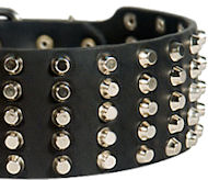 3 inch Studded Leather Dog Collar for Bulldog 3 inch Studded Leather Dog Collar for Bulldog