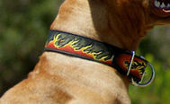 Bulldog Dog Collar - Leather Dog Collar For American Bulldog Bulldog Dog Collar - Leather Dog Collar For American Bulldog