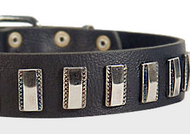 Ornament Dog Collar made of leather for Bulldog Ornament Dog Collar made of leather for Bulldog