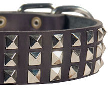 Silver Pyramid Leather Dog Collar for Bulldog Silver Pyramid Leather Dog Collar for Bulldog