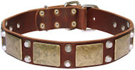 Bulldog Leather Dog Collar- brass massive + 2 pyramids Bulldog Leather Dog Collar- brass massive + 2 pyramids
