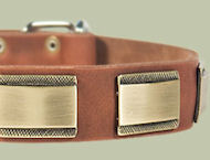 Designer Dog Collar for Bulldog-Leather Custom Collar Designer Dog Collar for Bulldog-Leather Custom Collar