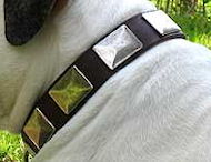 Handcrafted Leather Dog Collar With Vintage Massive Plates Handcrafted Leather Dog Collar With Vintage Massive Plates