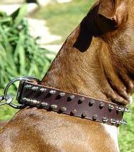 APBT Leather Spiked Dog Collar - 2 Rows of spikes