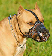 Best Leather Dog Muzzle for Bulldogs/ Bulldog/Pitbull/Amstaff Best Leather Dog Muzzle for Bulldogs/ Bulldog/Pitbull/Amstaff