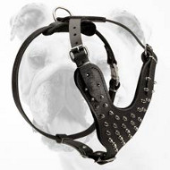 Adjustable Spiked Leather Bulldog Harness for Walking Adjustable Spiked Leather Bulldog Harness for Walking
