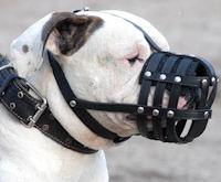 Everyday Durable Leather Bulldog Muzzle Everyday Durable Leather Bulldog Muzzle