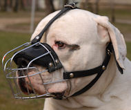 https://www.bulldog-breeds-store.com/images/Bulldog-wire-muzzle-basket-dog-muzzle-M4.JPG