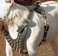 Leather spiked dog on sale harness