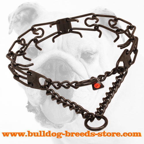 Black Pinch Dog Collar Made of Stainless Steel