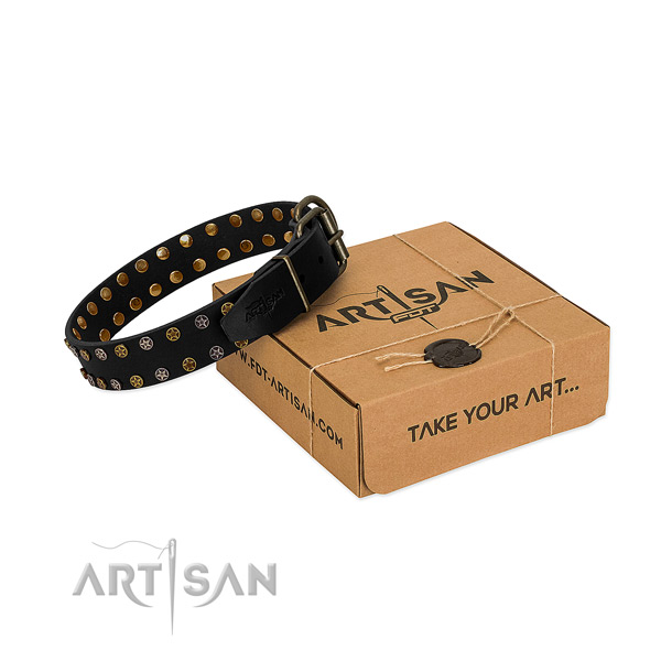 Full grain natural leather collar with remarkable adornments for your four-legged friend