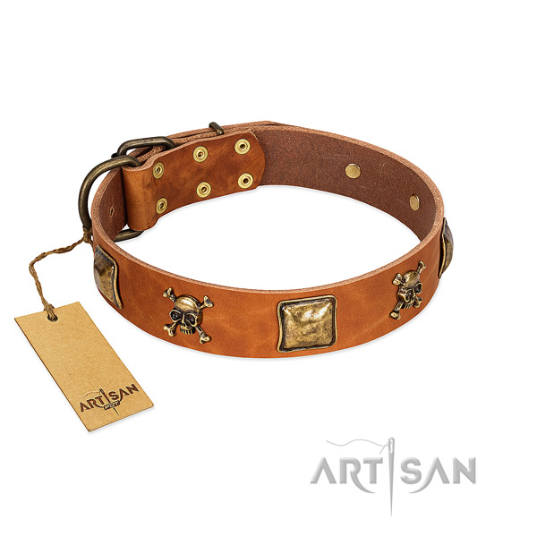 Inimitable natural leather dog collar with strong adornments