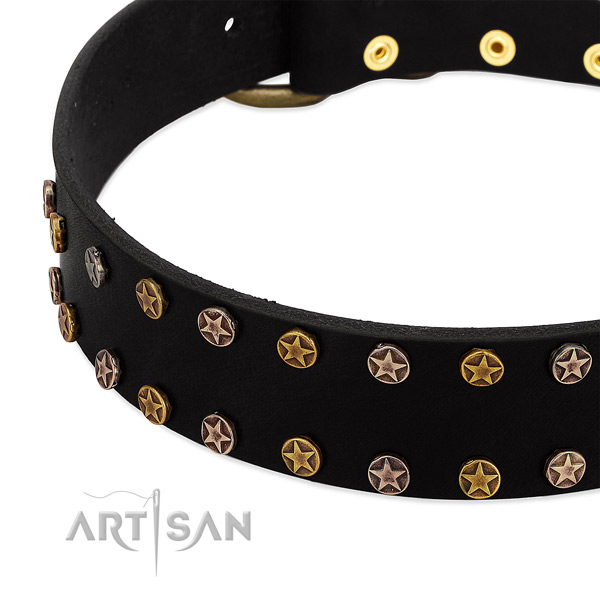 Unique embellishments on full grain genuine leather collar for your four-legged friend