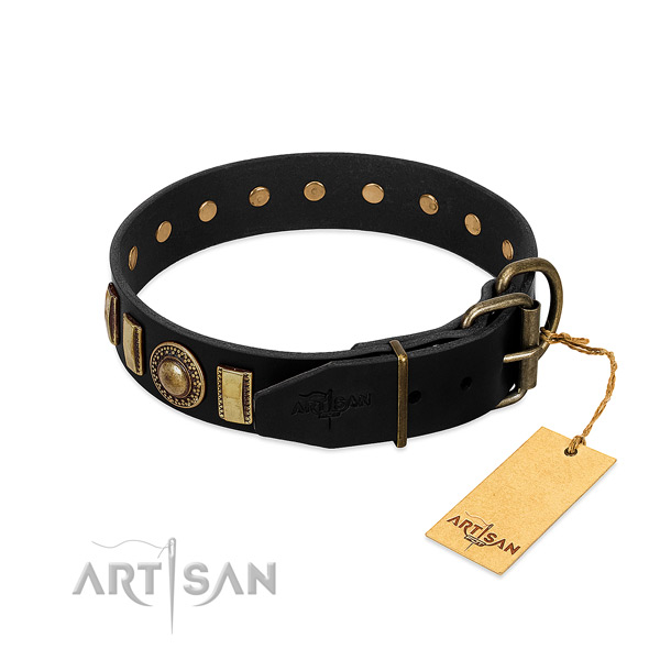Durable full grain leather dog collar with studs