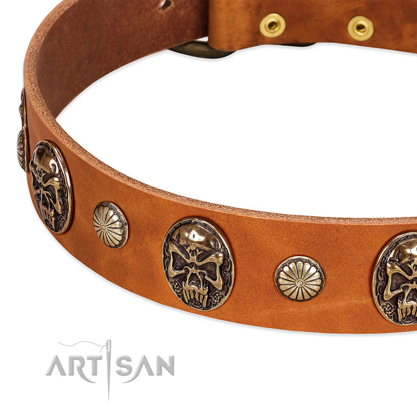 Corrosion proof D-ring on full grain natural leather dog collar for your dog