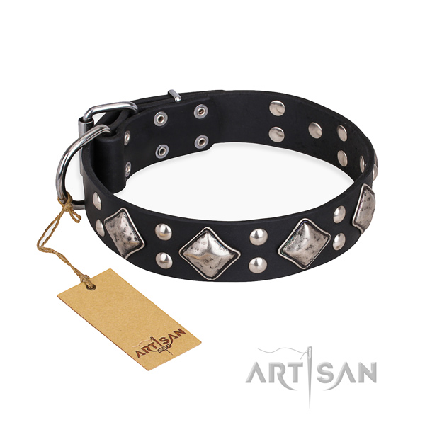 Fancy walking trendy dog collar with strong fittings