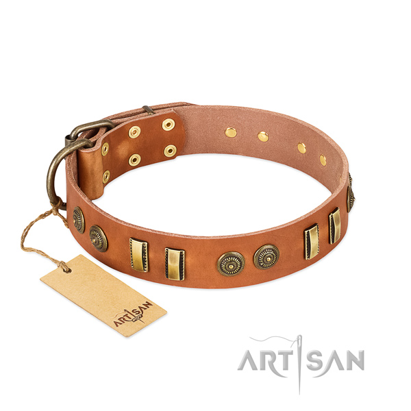 Strong fittings on natural leather dog collar for your canine
