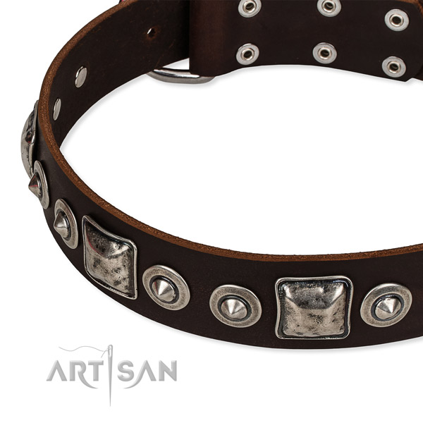 High quality full grain natural leather dog collar created for your stylish four-legged friend