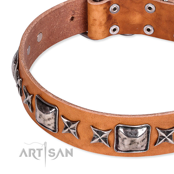 Comfy wearing embellished dog collar of strong full grain leather