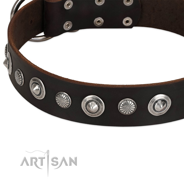 Stylish design embellished dog collar of durable natural leather