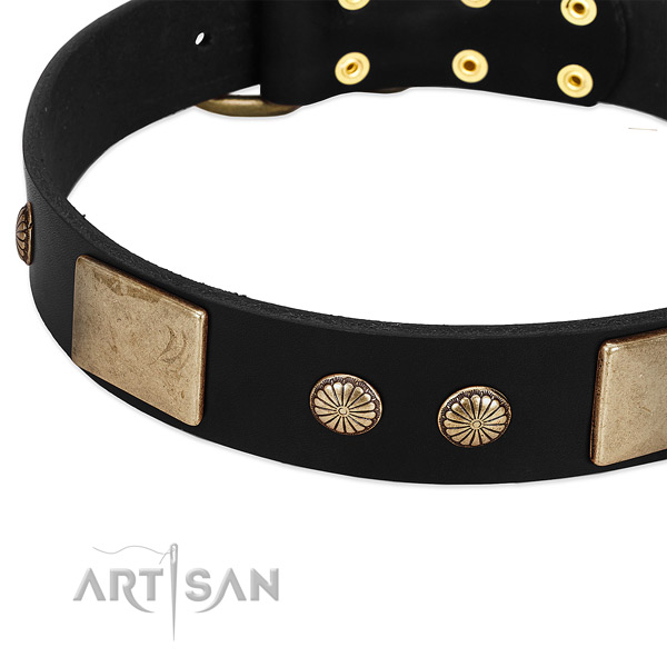 Full grain leather dog collar with adornments for walking