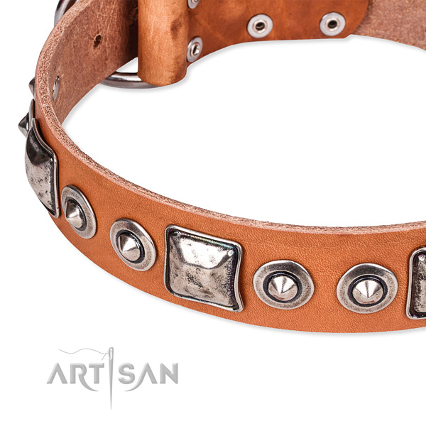 Quality natural genuine leather dog collar made for your impressive canine