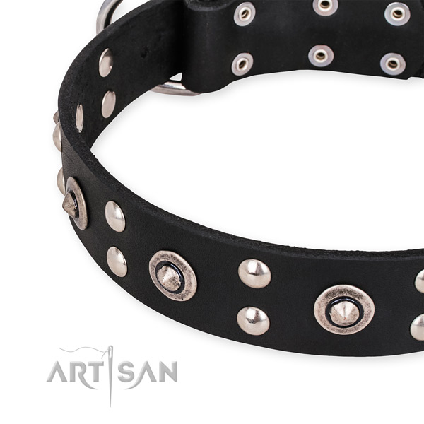 Leather collar with durable traditional buckle for your beautiful pet