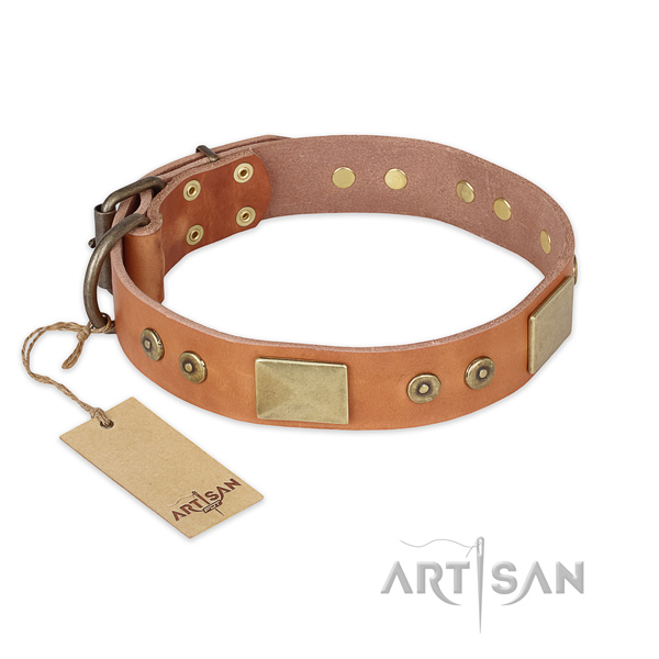 Top notch genuine leather dog collar for everyday use