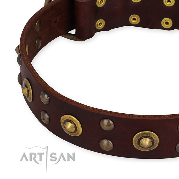 Genuine leather collar with rust-proof fittings for your beautiful four-legged friend