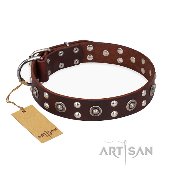 Walking studded dog collar with reliable D-ring