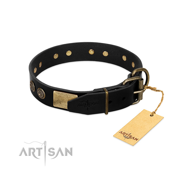 Reliable embellishments on natural leather dog collar for your dog