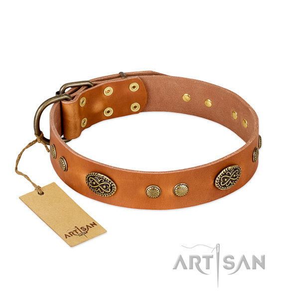 Corrosion resistant traditional buckle on full grain genuine leather dog collar for your canine