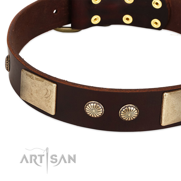 Durable D-ring on leather dog collar for your dog
