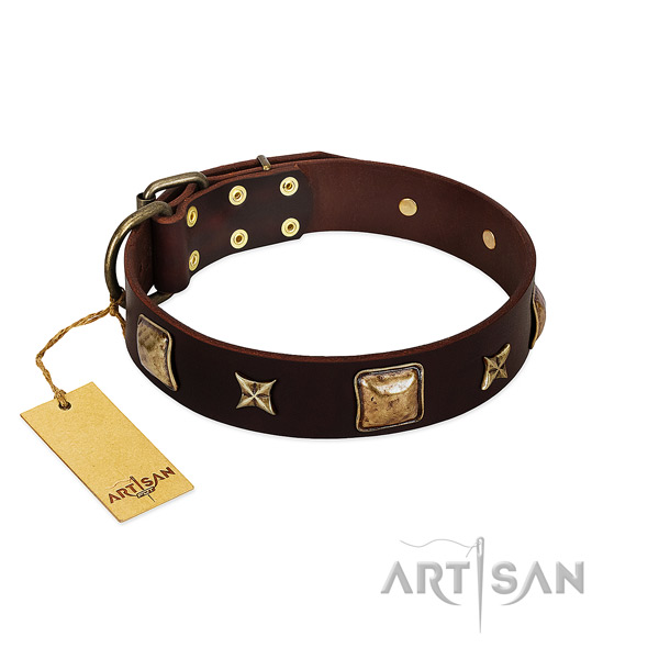 Exquisite full grain leather collar for your doggie
