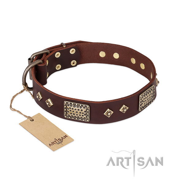 Studded full grain natural leather dog collar for everyday walking