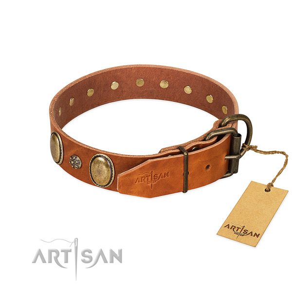 Daily use gentle to touch full grain leather dog collar