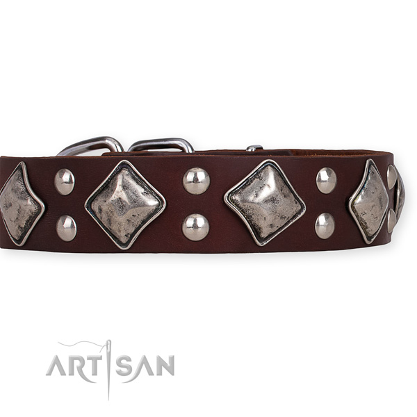 Full grain natural leather dog collar with amazing rust resistant embellishments