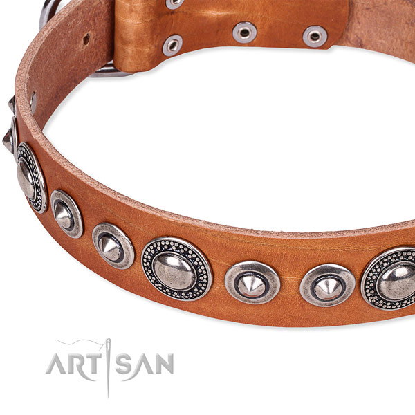 Daily walking adorned dog collar of strong full grain natural leather