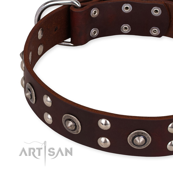 Leather collar with rust-proof D-ring for your lovely four-legged friend
