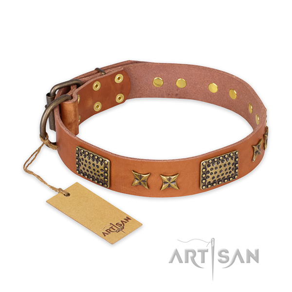 Embellished genuine leather dog collar with durable hardware