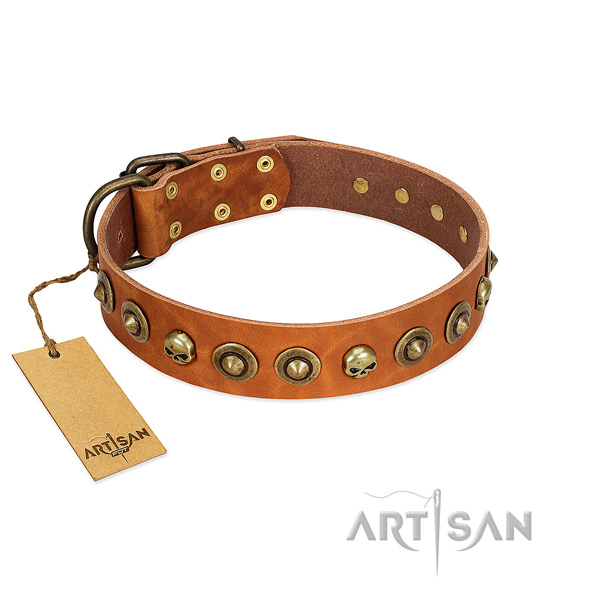 Natural leather collar with awesome adornments for your dog