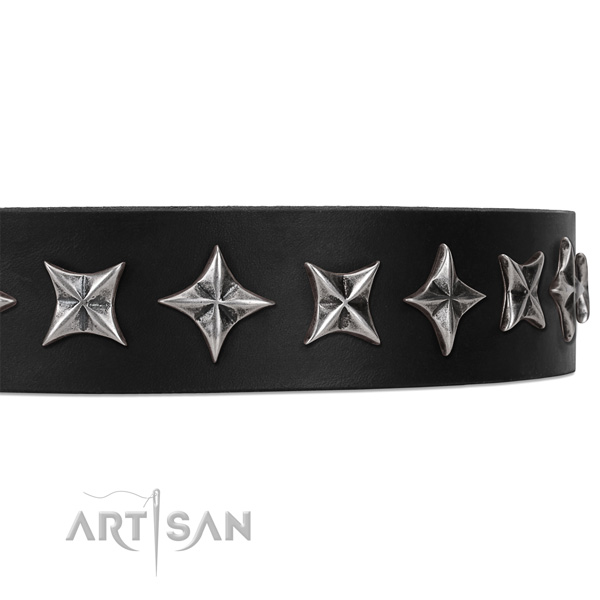 Fancy walking studded dog collar of strong natural leather