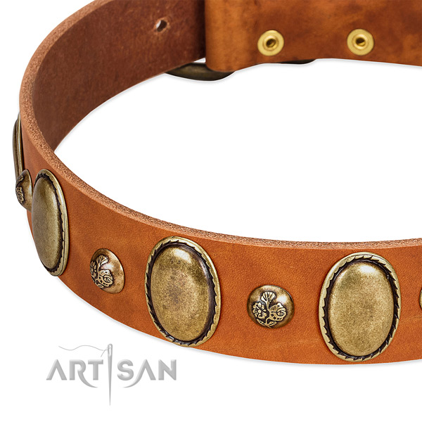 Full grain natural leather dog collar with exceptional decorations