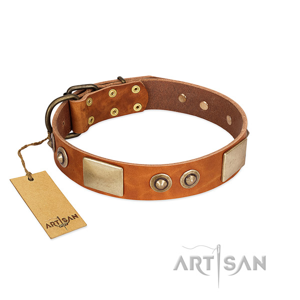 Easy adjustable full grain genuine leather dog collar for everyday walking your doggie