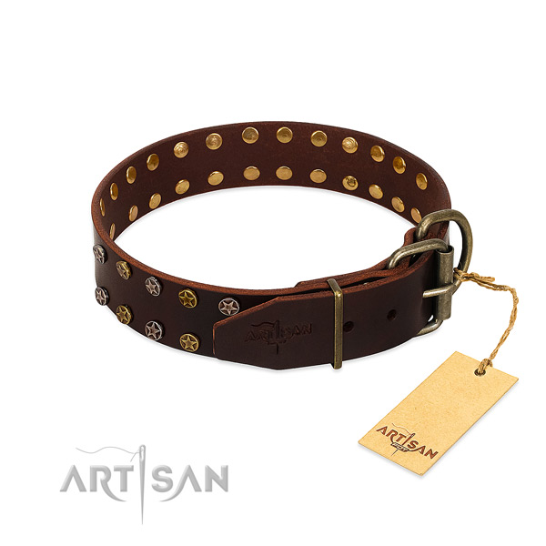 Fancy walking full grain leather dog collar with unusual adornments