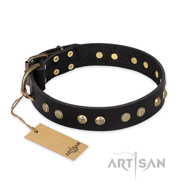 Incredible leather dog collar with corrosion proof fittings
