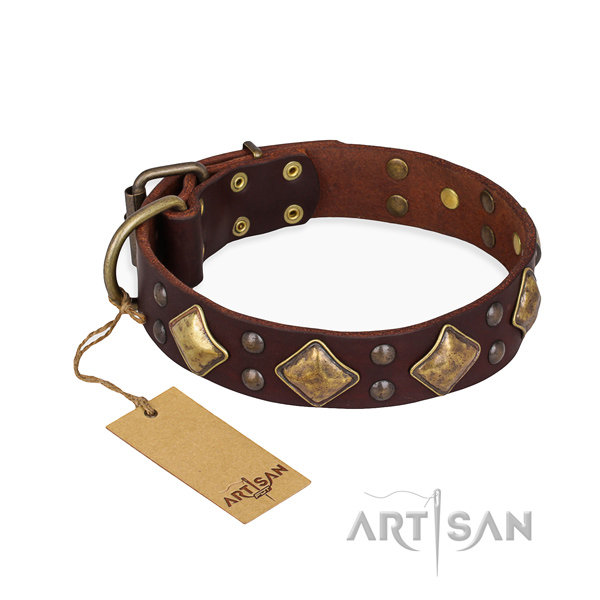 Fancy walking convenient dog collar with corrosion proof fittings