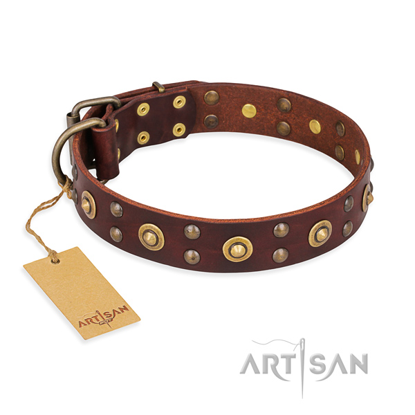 Easy wearing full grain leather dog collar with durable hardware