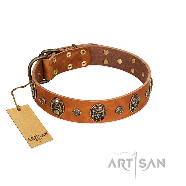 Exquisite full grain leather collar for your canine